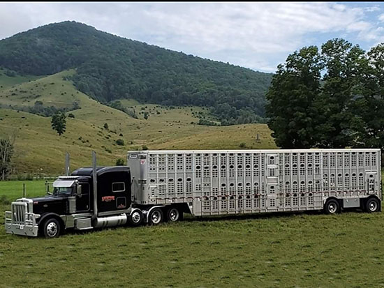 livestock-express-inc